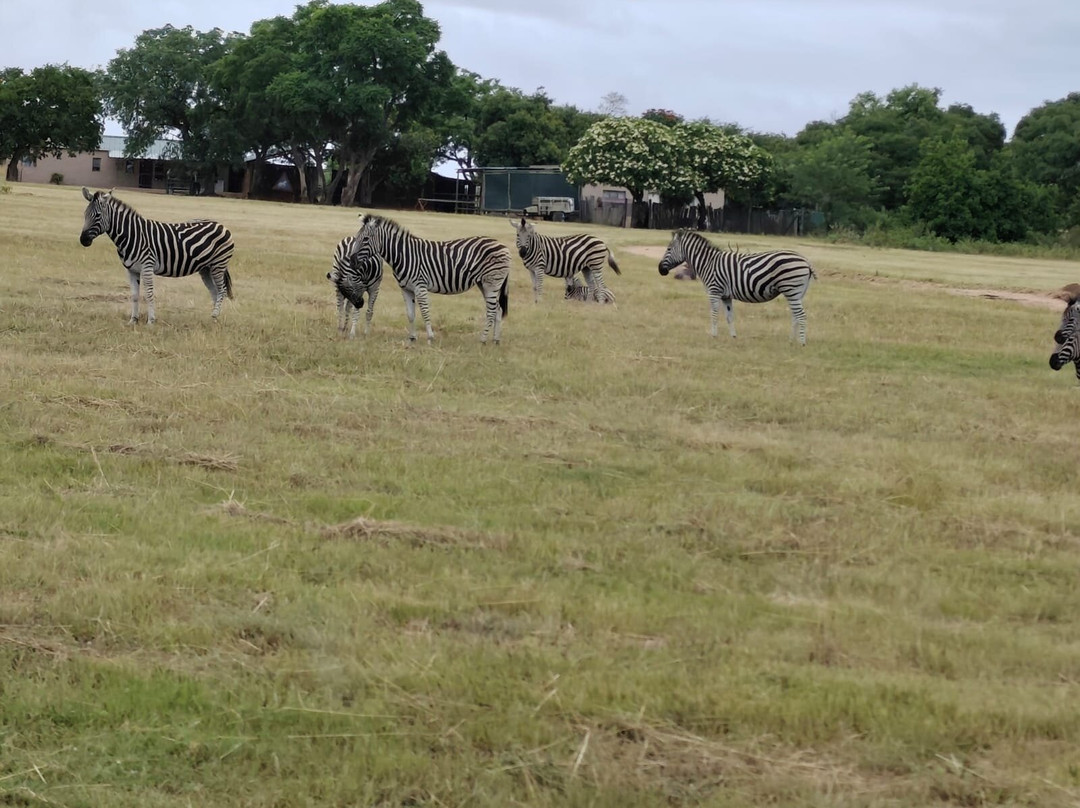 Loisico Tours and Excursions-Bloubergstrand必去景点