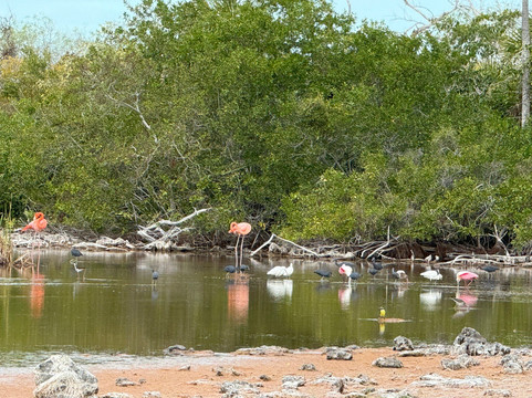 Rio Lagartos Adventures-里奥拉加托斯必去景点