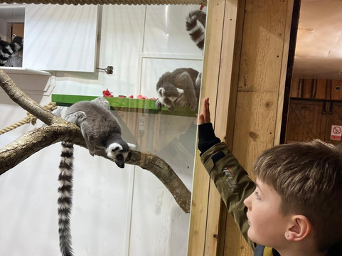 Welsh Mountain Zoo-科尔温湾必去景点