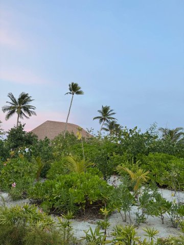 马尔代夫Velifushi Cinnamon-浴室