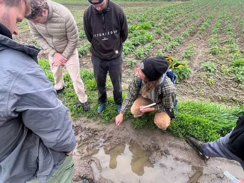 Hartibaciu Nature Tours