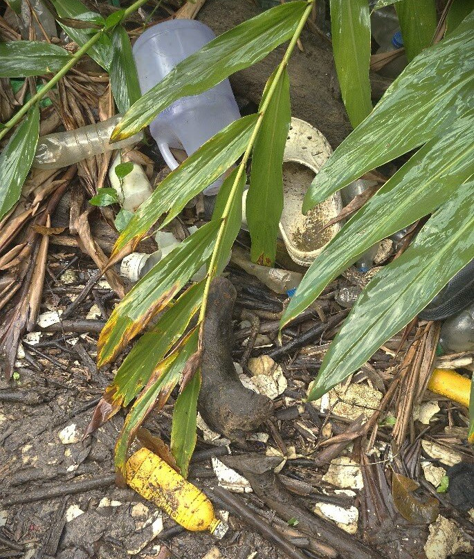 Salto De Jimenoa Uno-Jarabacoa必去景点