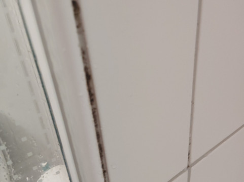 宜必思布雷根茨酒店主图