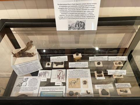 Cedar Key Historical Society Museum-锡达礁必去景点