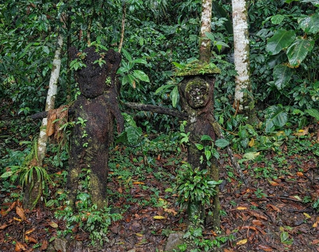 Inkamazonia Jungle Specialist-Manu必去景点