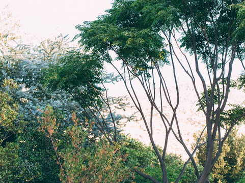 Rancho La Puerta主图