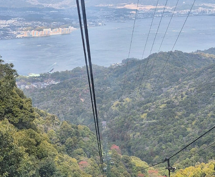 菊野屋酒店主图