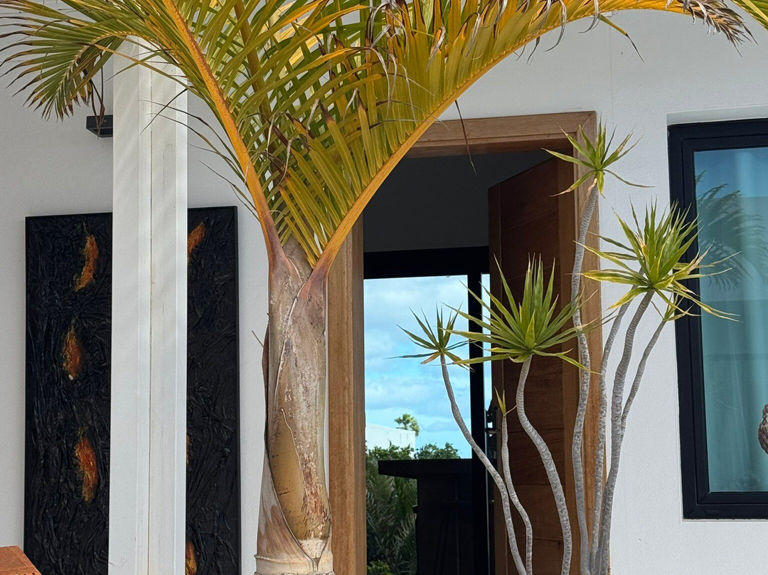 Villa Shepherd - Lajares