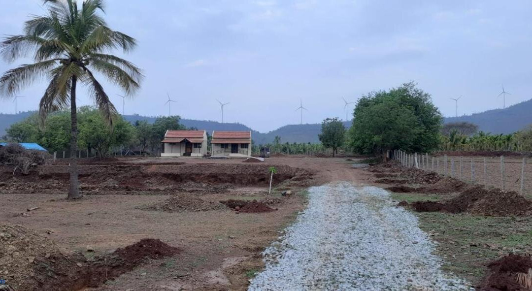 Hard Rock Wind Mill View Homestay