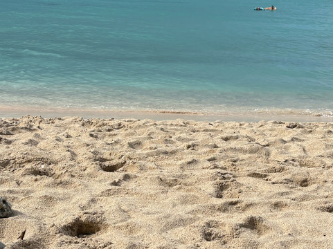 Smuggler's Cove-托土拉必去景点