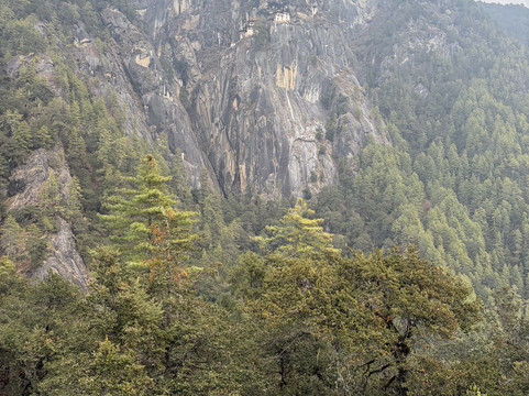 Darjeeling Travels-Bagdogra必去景点