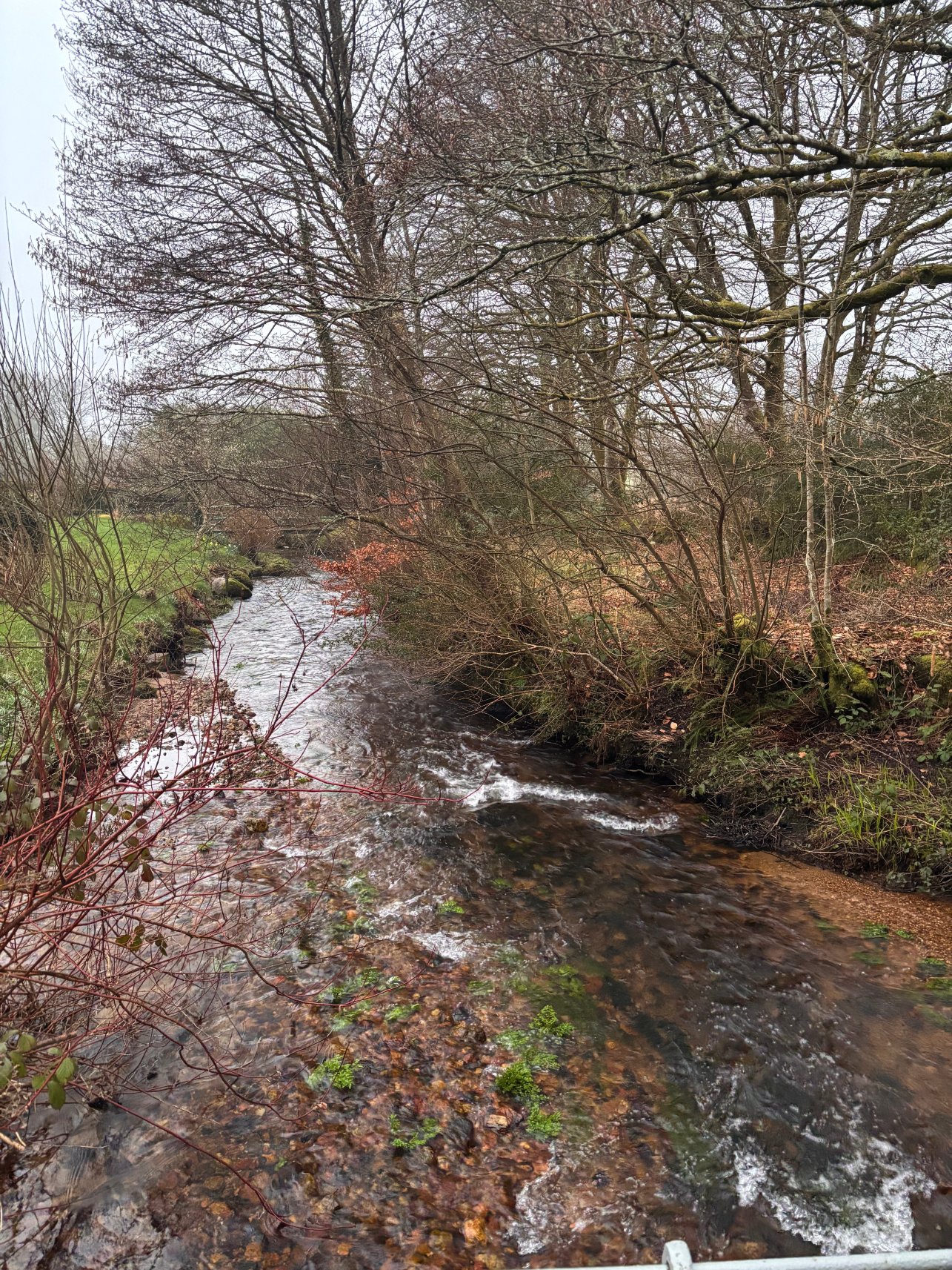 Higher Venton Farm-官方