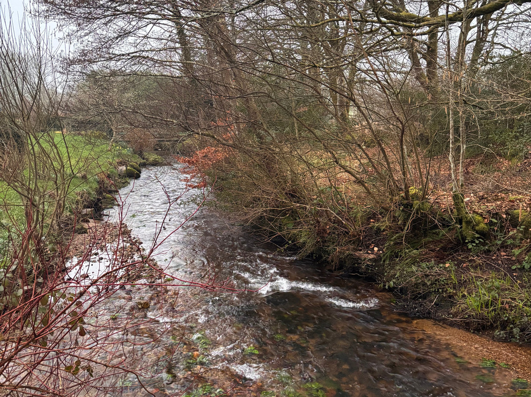 Higher Venton Farm主图