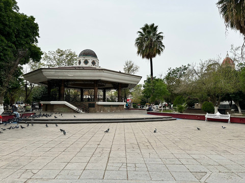 Plaza de armas Gómez Palacio-Gomez Palacio必去景点