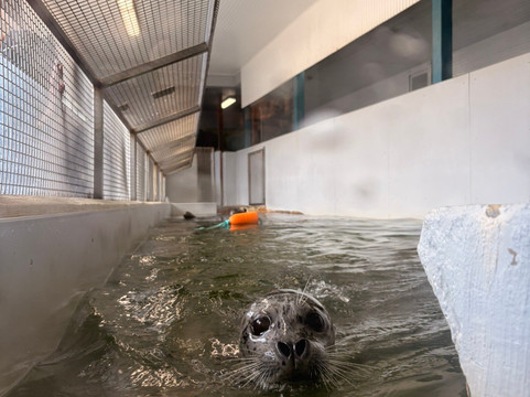 Seaside Aquarium-锡赛德必去景点