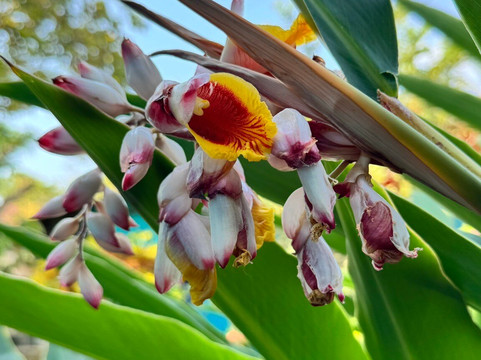 Posada Casa Riqui Riqui主图