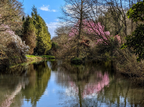 Fast Rabbit Farm Gardens-达特茅斯必去景点