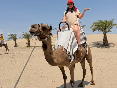 Dromedarius-伊卡必去景点