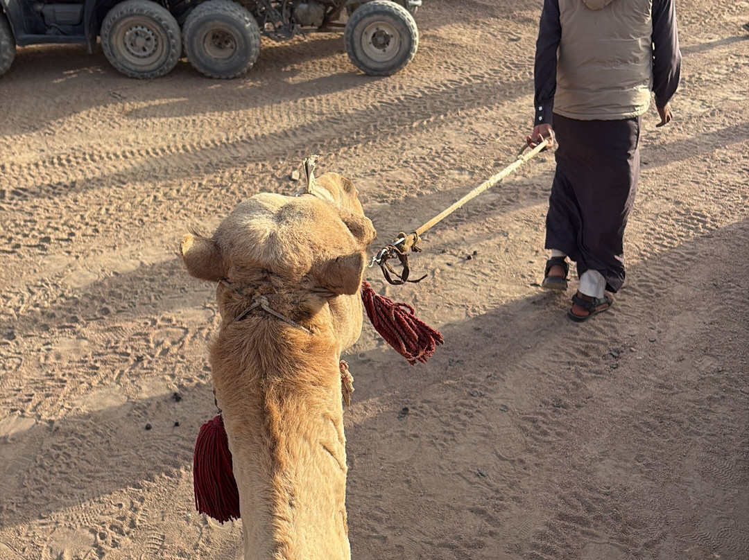 Bibo Viaggi-沙姆沙伊赫必去景点