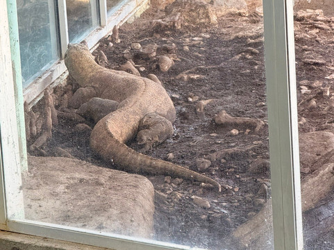 Tulsa Zoo-塔尔萨必去景点