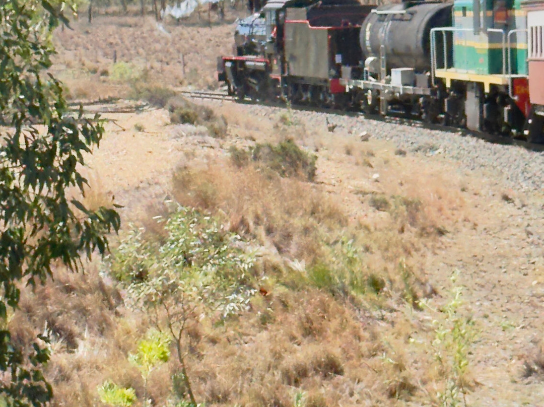 Southern Downs Steam Railway-Warwick必去景点