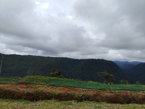 Saloya Mindo Life Landscape Hotel