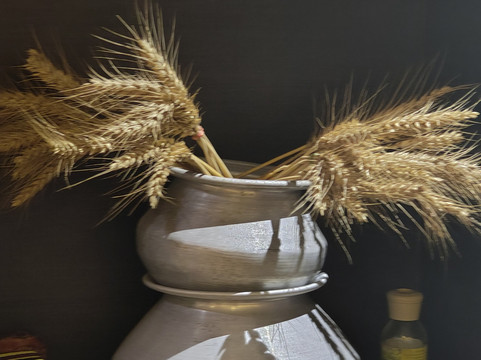 帕坦科特公园区域酒店主图