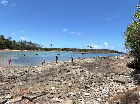 Ilha de Santo Aleixo-Sirinhaem必去景点