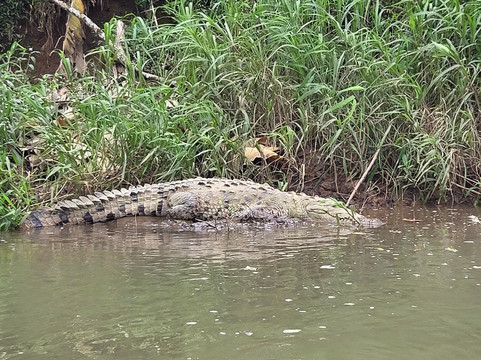 Pizote Tours-Boca Tapada必去景点