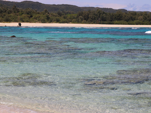 土盛海岸-奄美市必去景点