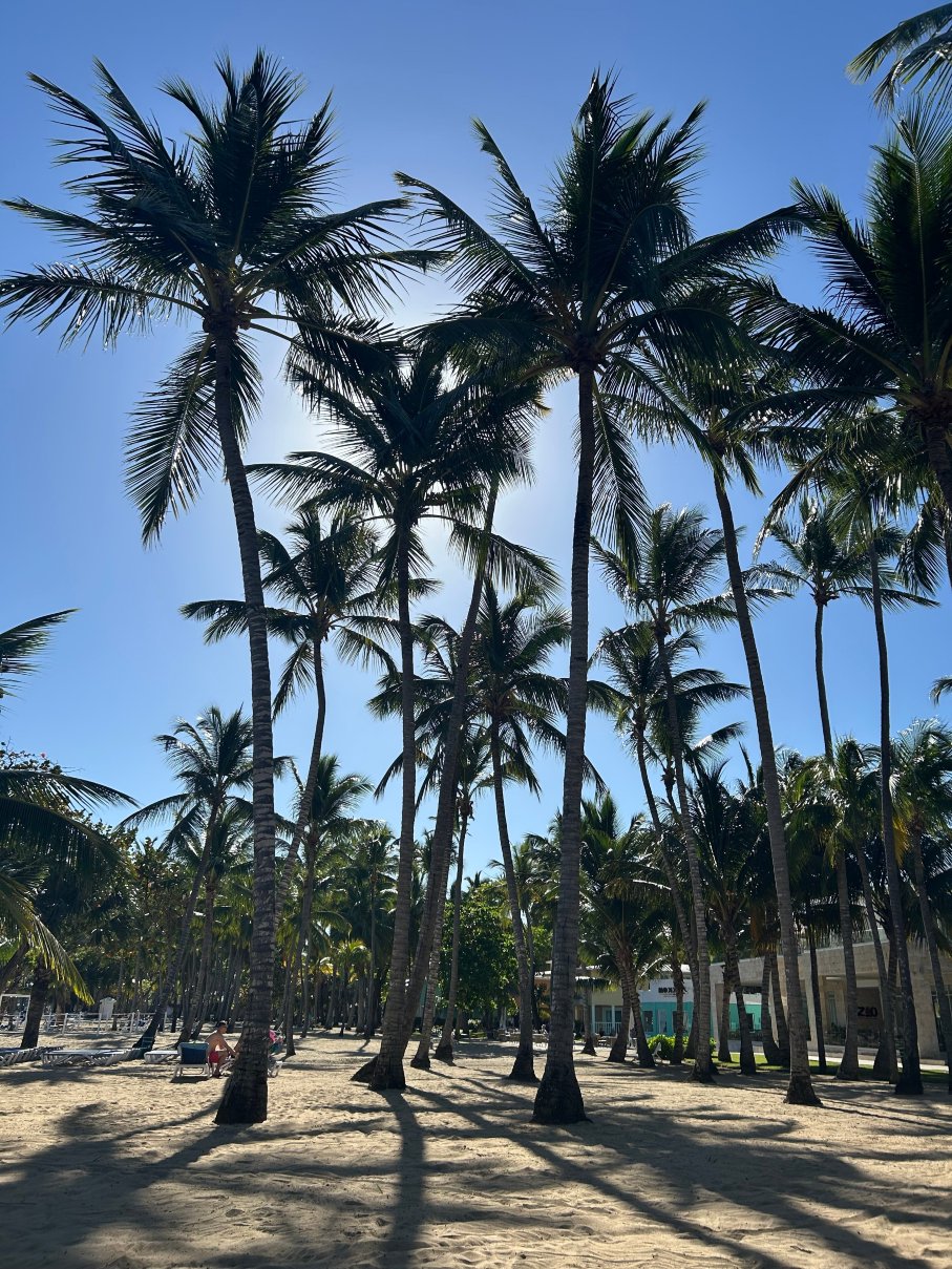 普拉塔港参议员温泉度假村-泳池