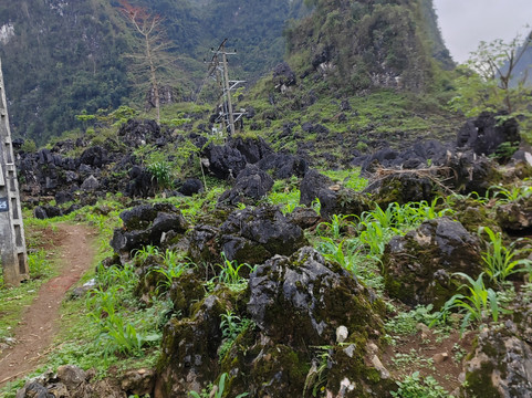 Vietnam Motorbike Tour Expert-河内必去景点
