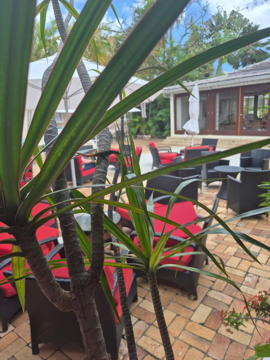 小岛旅馆酒店-全包-官方