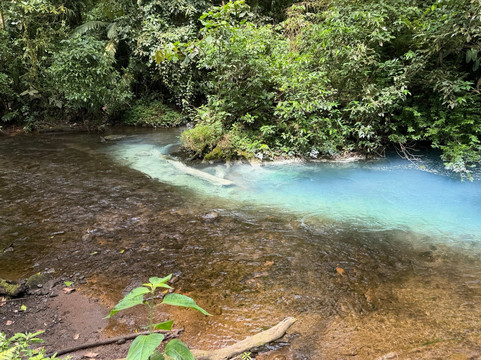 Rio Celeste Blue Adventures-Tenorio Volcano National Park必去景点