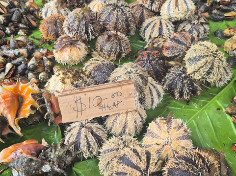 Honiara Central Market-霍尼亚拉必去景点