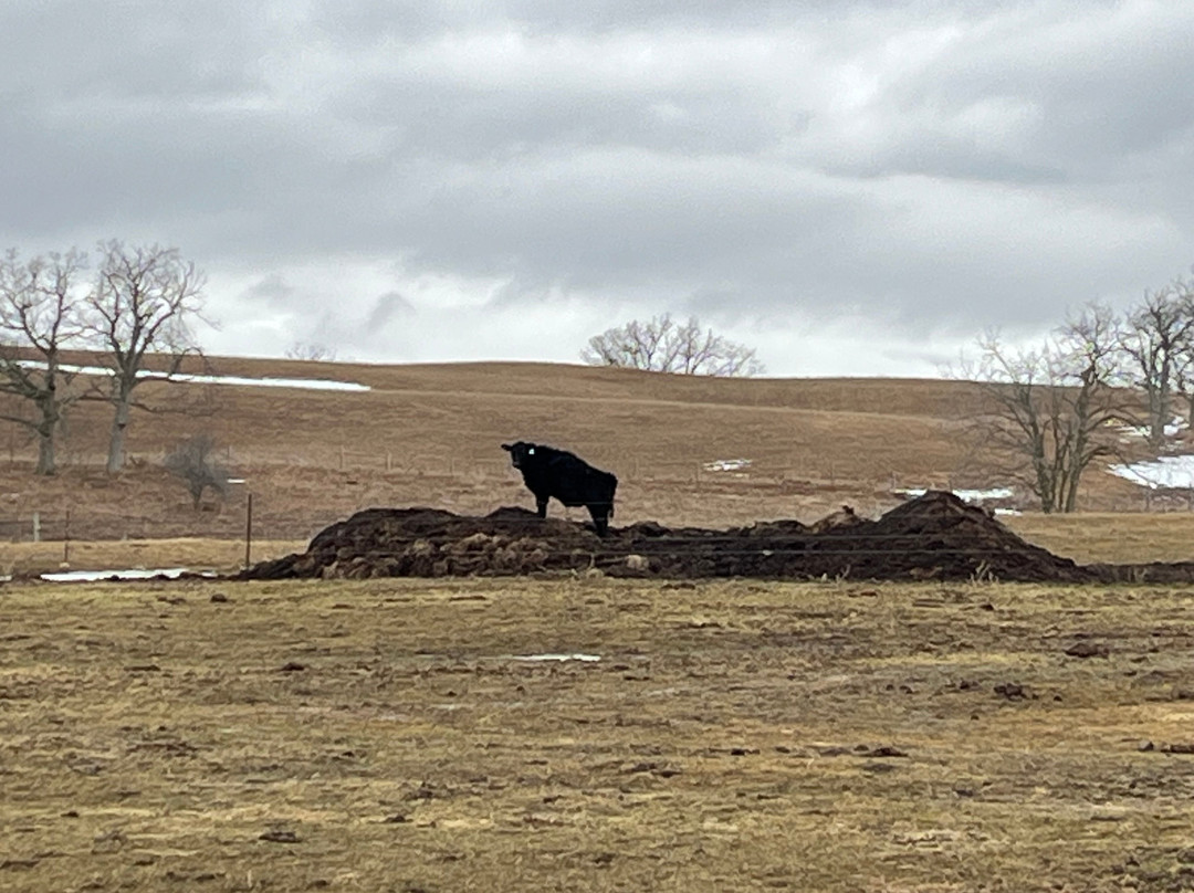 艾尔莫斯特度假酒店