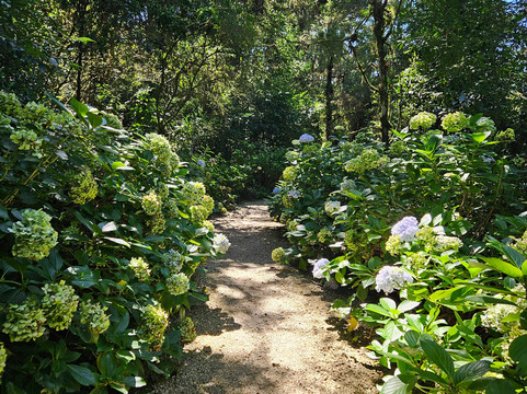 Parque da Lagoinha-坎普斯－杜若尔当必去景点