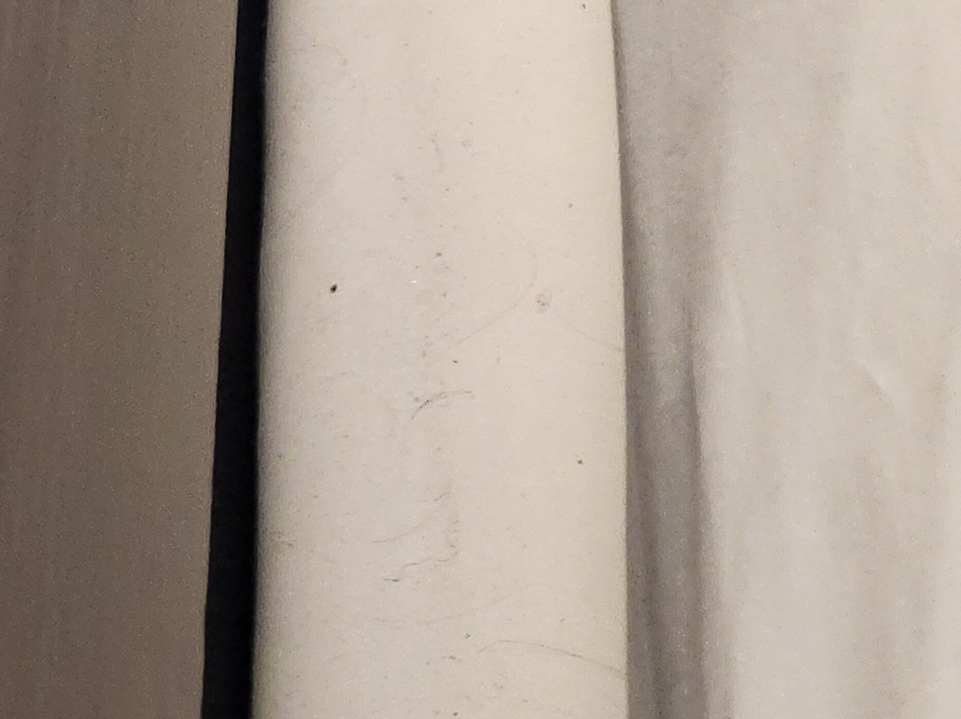 海狸水坝美吟温德姆酒店主图