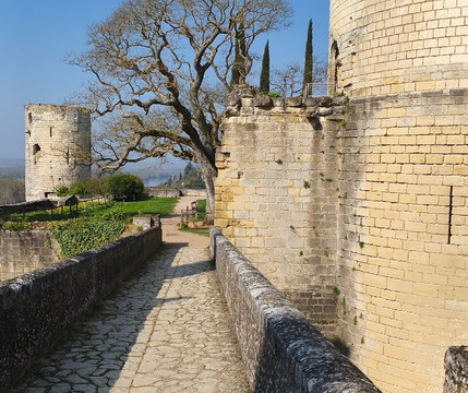 Forteresse Royale De Chinon-希农必去景点