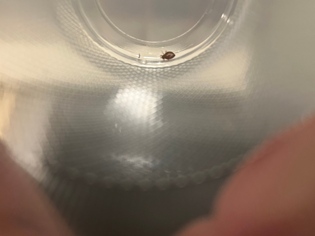 诺斯菲尔德酒店套房及会议中心主图