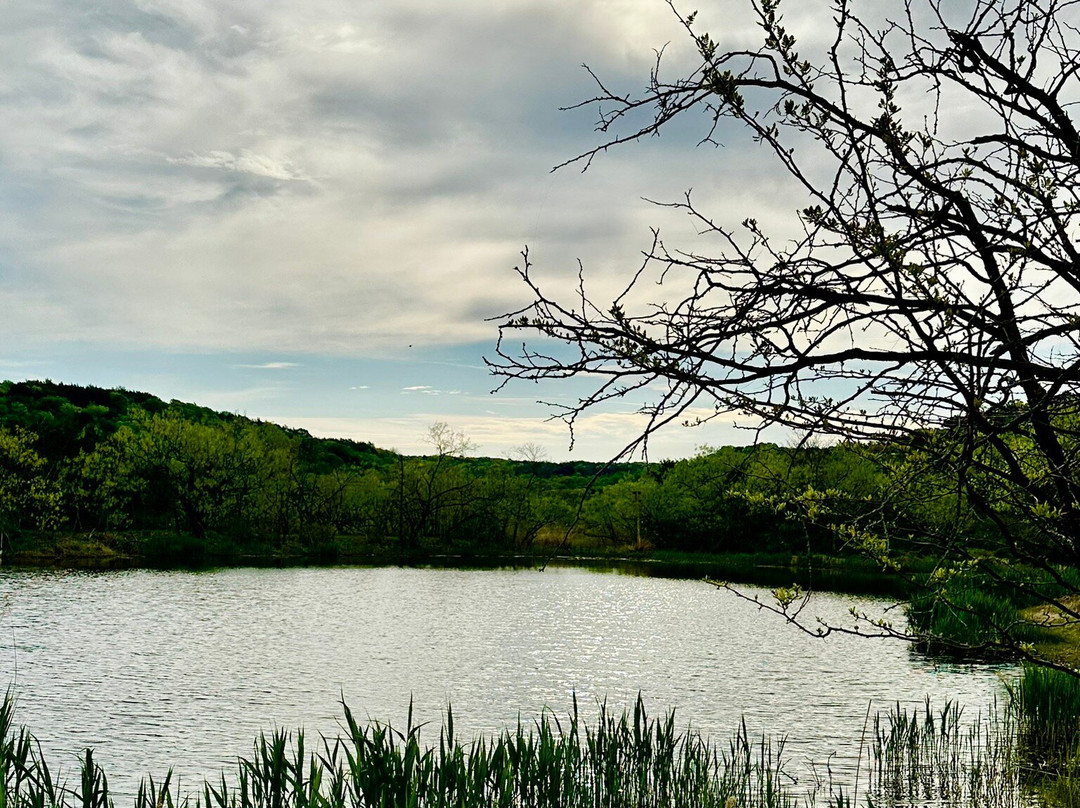 Cedar Ridge Preserve managed by Audubon Dallas.-达拉斯必去景点