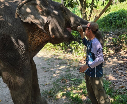 Phuket Elephant Nature Reserve-他朗必去景点