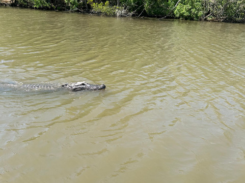 Louisiana Tour Company-Marrero必去景点