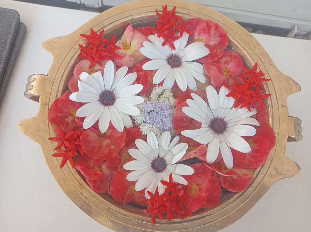 Hotel Aradhana Inn主图