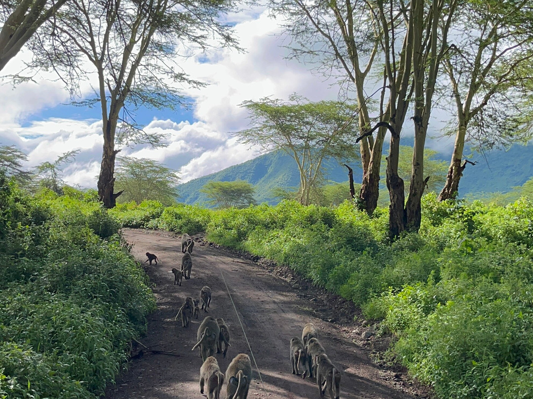 BADGER ADVENTURES TOURS & SAFARI-Arusha Chini必去景点
