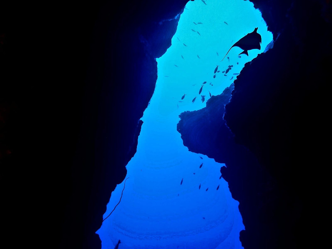 Blue Bay Divers Diving Centre-蓝湾必去景点