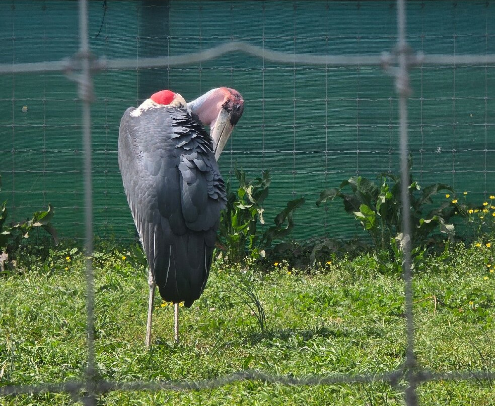 Georgia Untamed Zoo-Hogansville必去景点