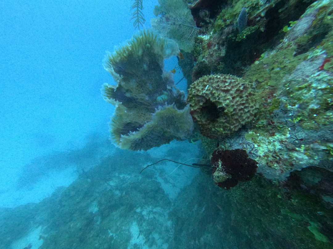 Anda Di Wata Dive School-Providencia Island必去景点