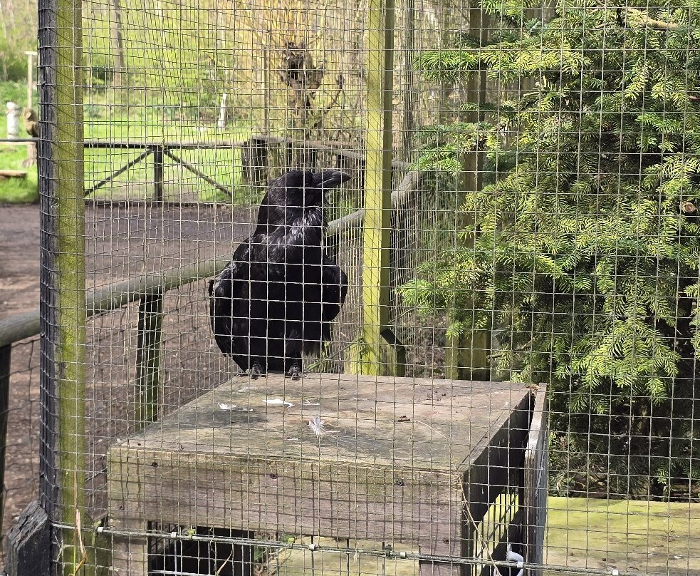 Wildwood Trust-Herne Bay必去景点