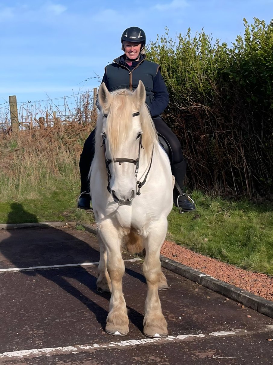 坦伯利特朗普-官方